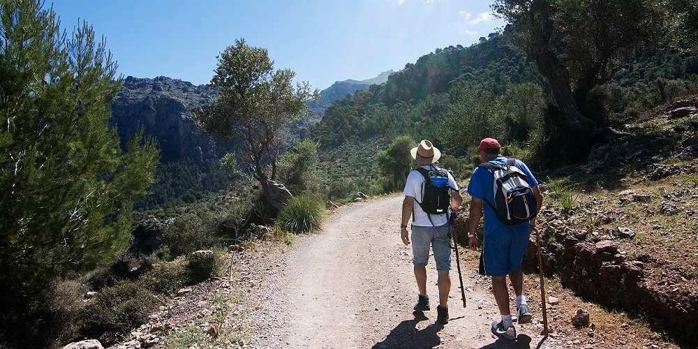Hiking trails in Sóller Mallorca - hiking in Mallorca . Palmallorca.com - Mallorca Community