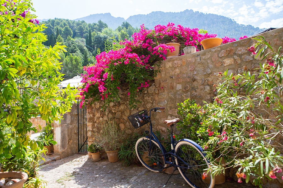 Fornalutx in Mallorca - perfect village in Mallorca - Mallorca with out noise - Palmallorca.com - Palma & Mallorca Community