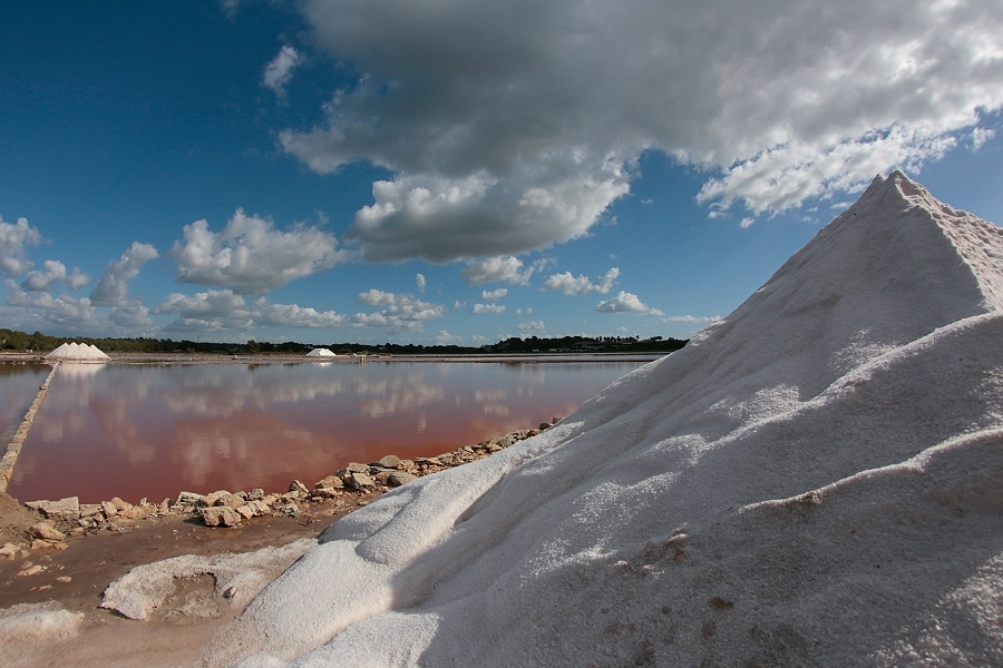 Salt Extraction in Mallorca – Experience Campos in Mallorca - Palmallorca.com - Palma & Mallorca Community