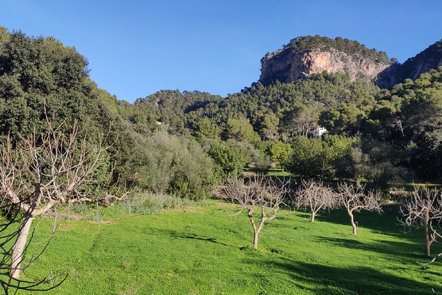 Explore Bunyola - Palmallorca.com - Palma & Mallorca Community