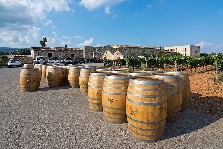 Macia Batle - wine Mallorca - Palmallorca.com - Mallorca Community