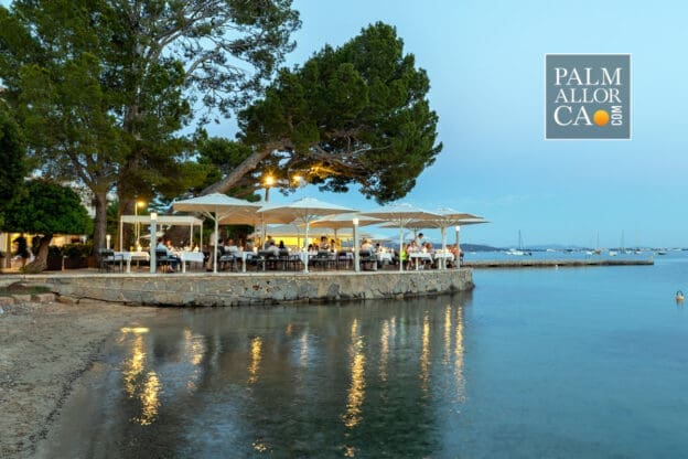 Hotel-Hoposa-Illa-dOr-in-Puerto-Pollensa-with-Palmallorca-Gallery.bak
