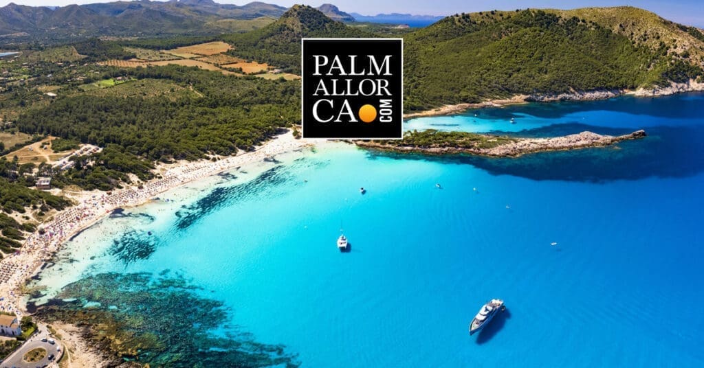 Palmallorca Community - International Mallorca