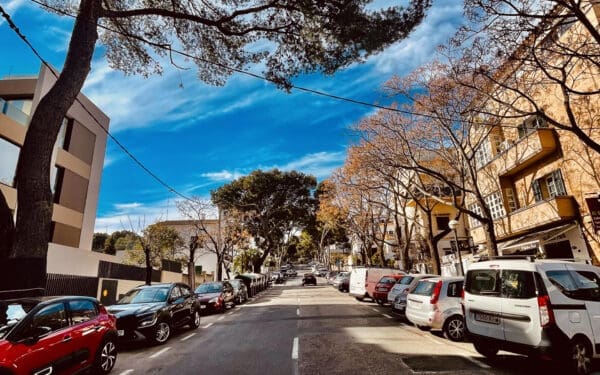 Bellver Oaks - Palma Mallorca - Palmallorca CO Ownership