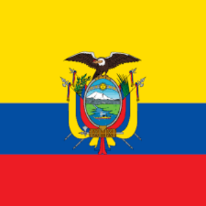Group logo of Ecuadorians in Mallorca